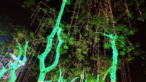 Close-up of illuminated christmas lights