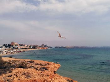Bird flying over sea against sky