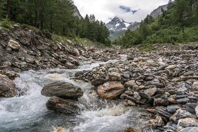 Scenic view of river flowing through rocks