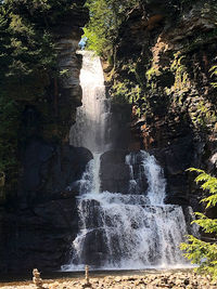 Scenic view of waterfall in forest