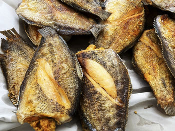 Close-up of dead fish in plate on table