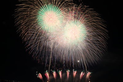 Low angle view of firework display at night