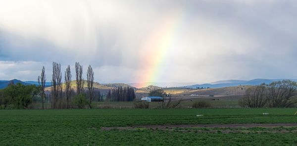 Scenic view of field against sky