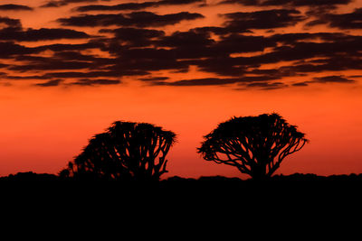 Low angle view of silhouette trees against dramatic sky