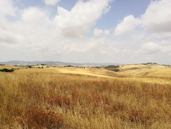 Scenic view of field against sky