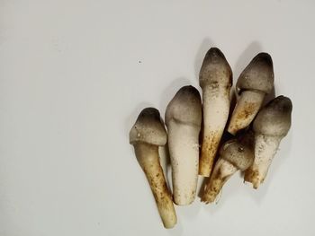 High angle view of bread on white background