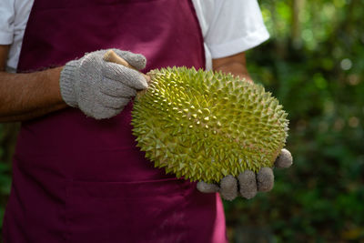 Close-up of man holding plant