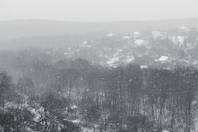 Aerial view of trees on landscape against sky