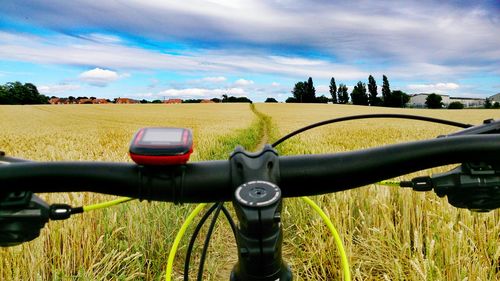 Close-up of bicycle on grass