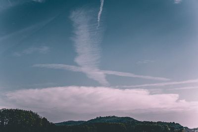 Low angle view of trees against sky