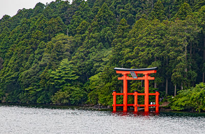 Scenic view of lake by trees