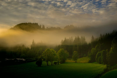 Scenic view of field against sky during sunset
