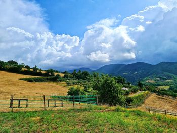 Scenic view of field against sky