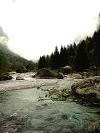Stream flowing through rocks
