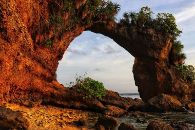 Rock formation amidst trees against sky