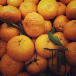 Full frame shot of oranges