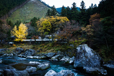 Stream flowing through rocks in forest during autumn