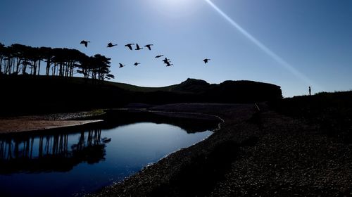 Silhouette birds flying over lake against sky