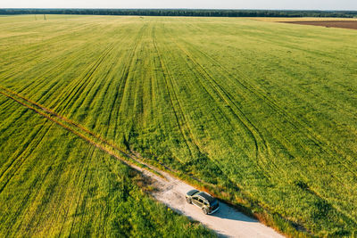 Scenic view of agricultural field