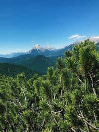 Scenic view of tree mountains against sky