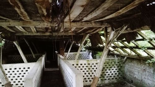 Low angle view of potted plants on roof