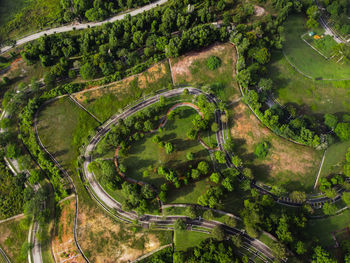 High angle view of agricultural landscape