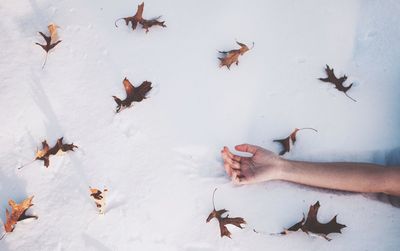 An arm laying fallen on the snow like leaves