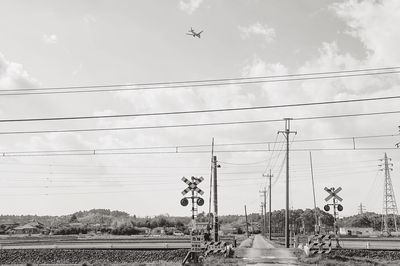 Birds flying against sky