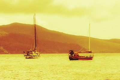 Boats sailing in sea