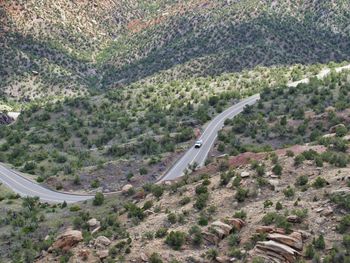 High angle view of road amidst trees