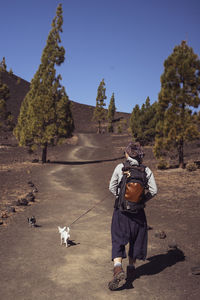 Hiker walks with two chihuhua dogs through dry desert volcanic hills