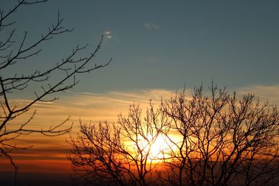 Silhouette bare trees against sky during sunset