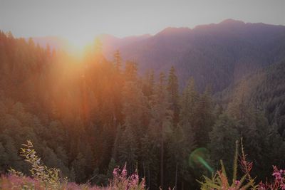 Scenic view of trees and mountains against sky
