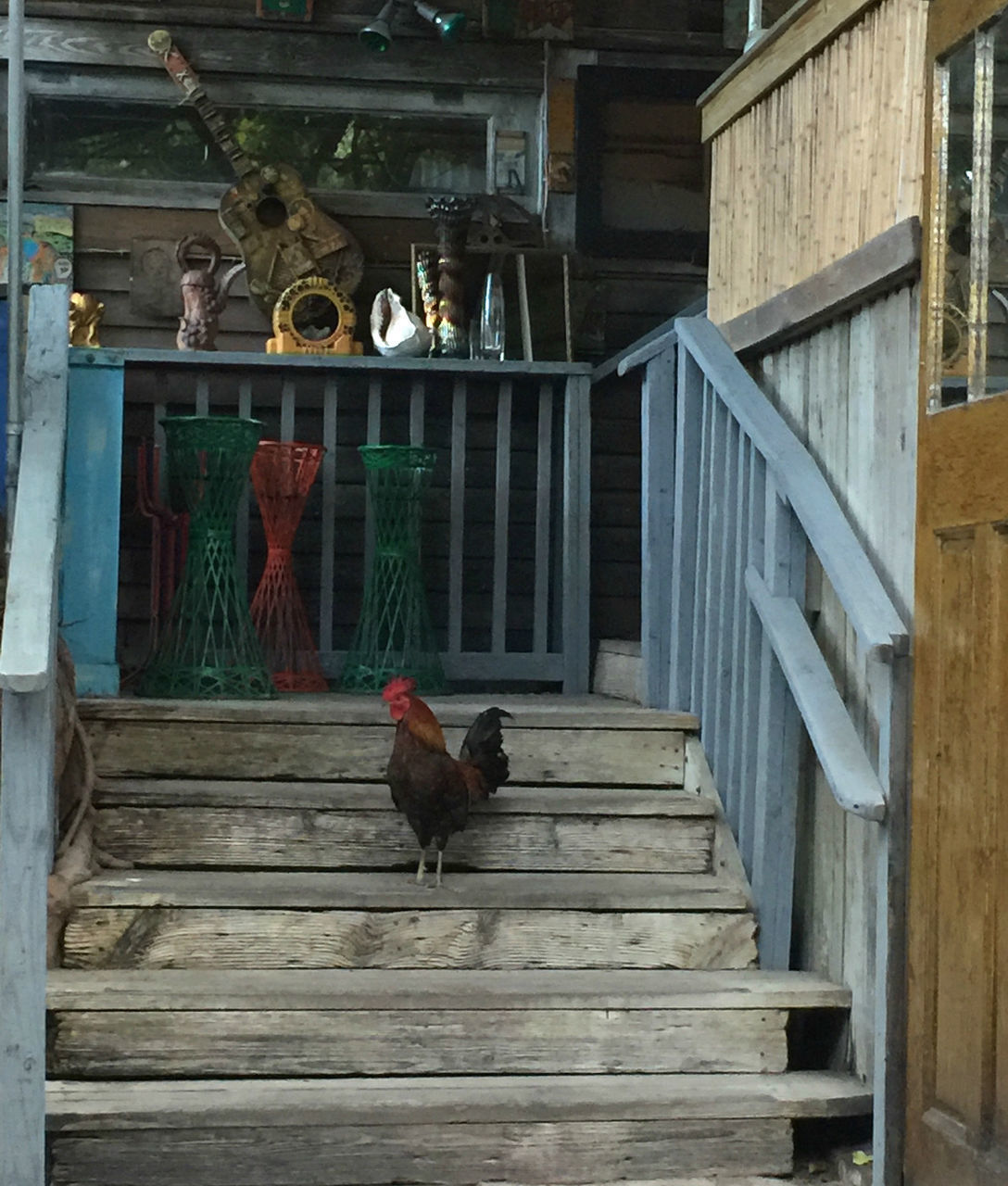 VIEW OF A BIRD PERCHING ON WOODEN WALL