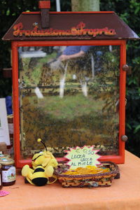 Toys on table at temple