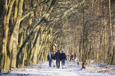 People on snow covered forest