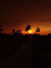 Silhouette palm trees against sky during sunset