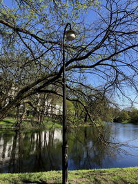 Bare tree by lake against sky