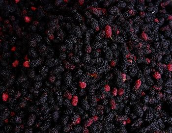 Full frame shot of mulberries at market stall