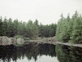 Reflection of trees in lake against sky