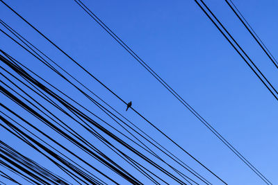 Low angle view of birds perching on cable