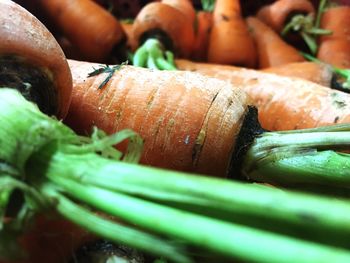 Full frame shot of food