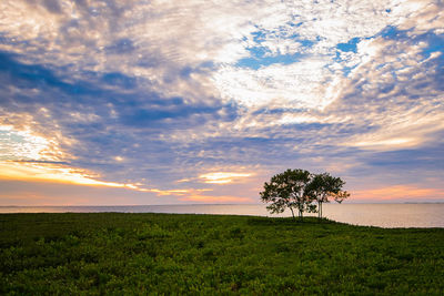 Scenic view of sea against cloudy sky