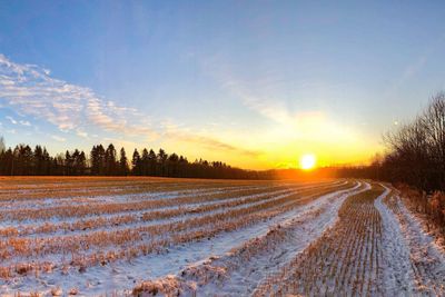 Scenic view of snowy field against sky during sunset