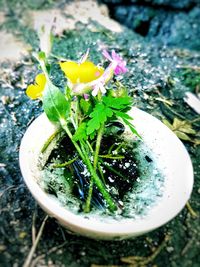 High angle view of potted plant