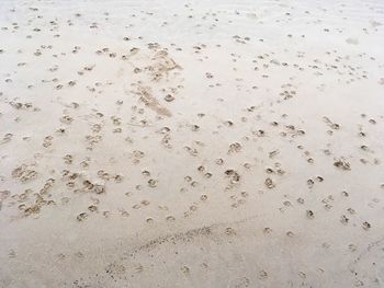 High angle view of footprints on sand at beach