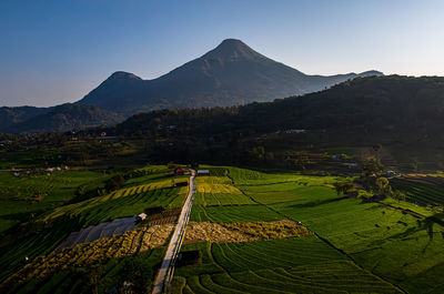 Scenic view of agricultural field against mountain