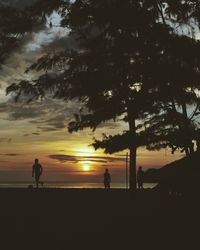 Silhouette of trees at sunset