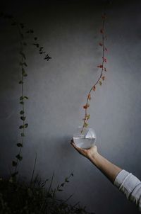 Close-up of hand holding glass against wall
