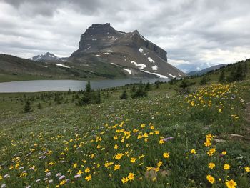 Scenic view of mountains against sky